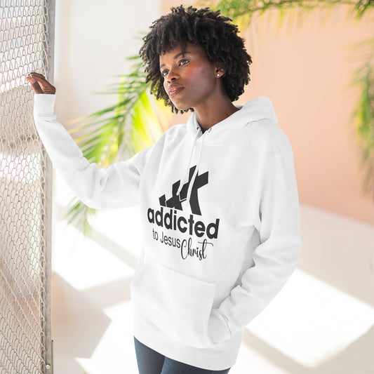 Addicted to Chill Hoodie Minimal Three-Panel Fleece Pullover