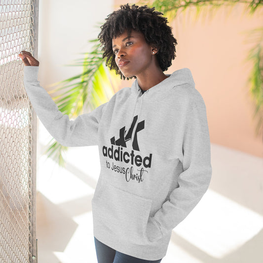 Addicted to Chill Hoodie Minimal Three-Panel Fleece Pullover